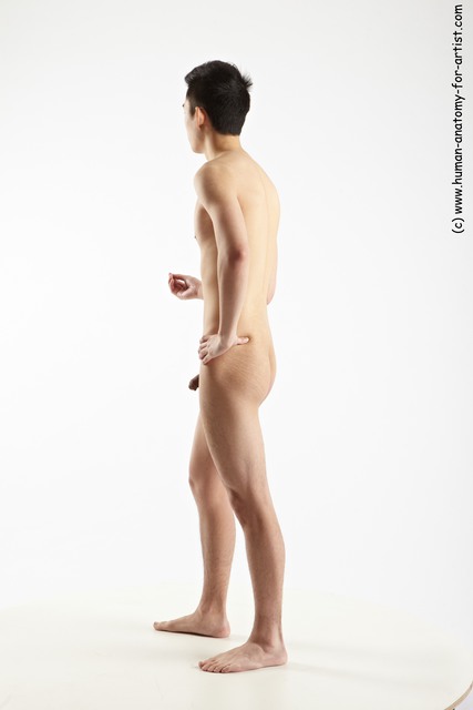 Nude Man Asian Standing poses - ALL Slim Short Black Standing poses - simple