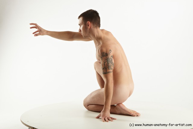 Nude Man White Slim Short Brown Sitting poses - ALL Sitting poses - on knees