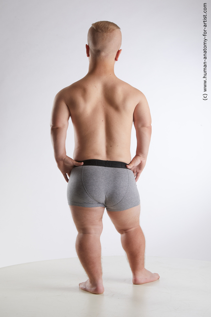 Underwear Man White Average Short Brown Standard Photoshoot