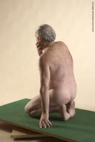Photo Reference of kvido kneeling pose 18
