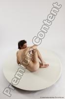 Photo Reference of borek sitting pose 10a