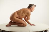 Photo Reference of kneeling reference pose wendell